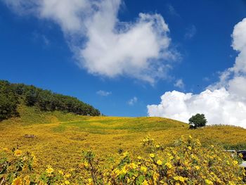 Scenic view of field against sky