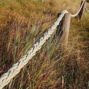 High angle view of tire tracks on field
