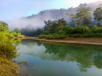 Scenic view of lake by trees against sky