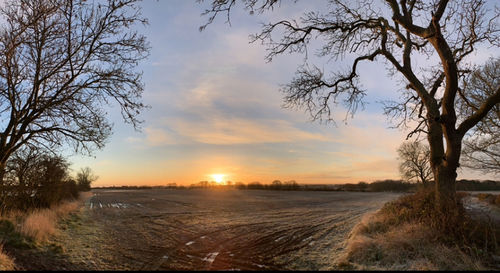 Scenic view of field against sky during sunset