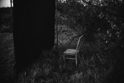 Chair by tree