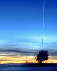 Silhouette trees on landscape against sunset sky