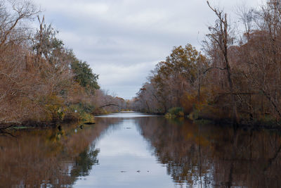 Scenic view of lake by trees against sky