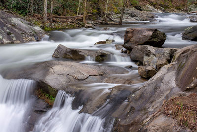 Scenic view of waterfall in forest