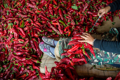 Hand holding red chili peppers for sale at market