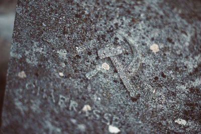 Full frame shot of wet snow