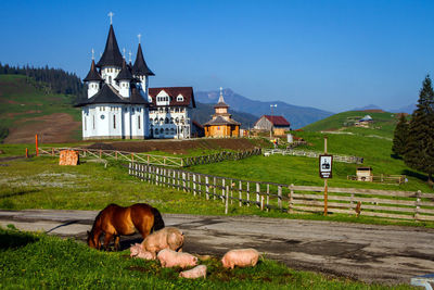 Horses on landscape against sky