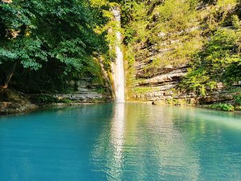 Scenic view of river flowing in forest
