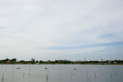 Scenic view of buildings in city against sky