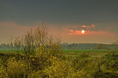 Scenic view of field against sky during sunset