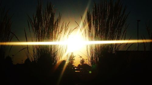 Silhouette trees by lake against sky during sunset