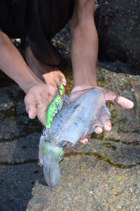 Cropped hands of person holding dead fish while fishing outdoors