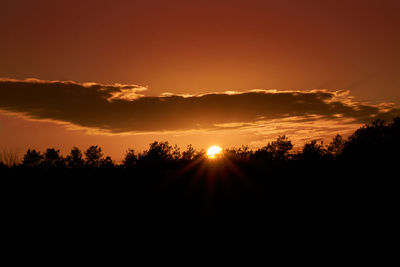 Silhouette trees against sky during sunset