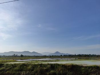 Scenic view of field against sky