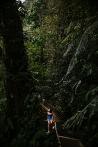 Young woman sitting on narrow footbridge surrounded by tall lush green tropical vegetation and looking up while exploring nature during summer adventure in alajuela province of costa rica