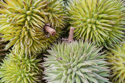 Full frame shot of fruit for sale at market stall