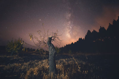 Scenic view of field against sky at night