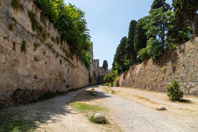View of narrow alley along plants