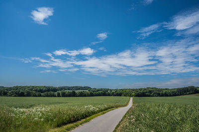 Road in agricultutal hilly landscape with crop fields