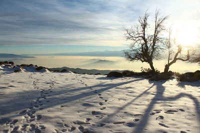 Scenic view of landscape against sky during winter