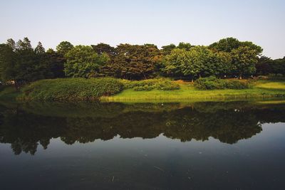 Reflection of trees in lake against clear sky