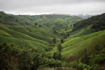 Scenic view of green landscape against sky