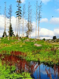 Scenic view of field by lake against sky