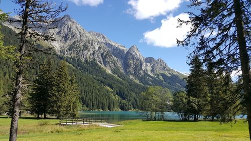 Scenic view of lake by trees against sky