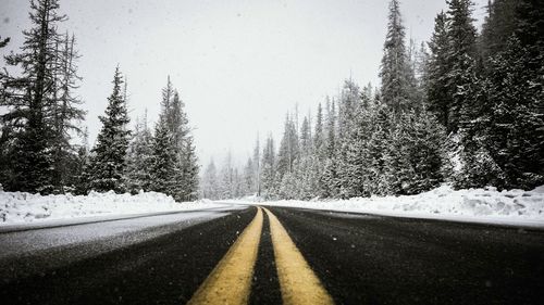 Road amidst trees against sky during winter