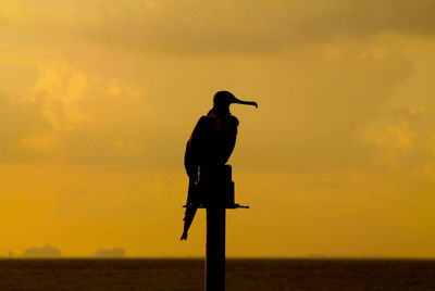 Silhouette bird perching on wooden post
