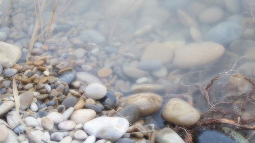 Full frame shot of pebbles