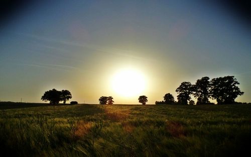 Scenic view of field against sky at sunset