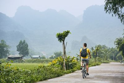 Rear view of man riding bicycle by land on road