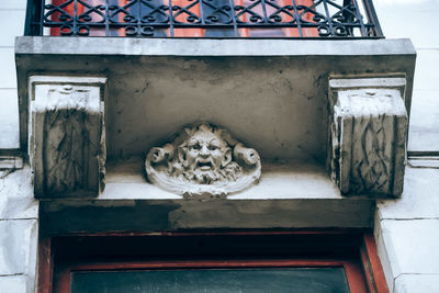 View of cat on wooden wall