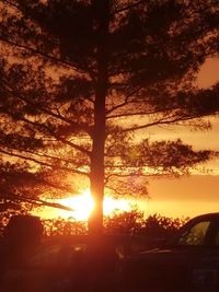 Silhouette trees against sky during sunset