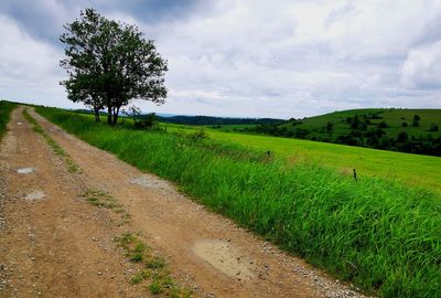 Scenic view of dirt road amidst field against sky