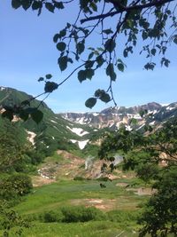 Scenic view of tree mountains against sky