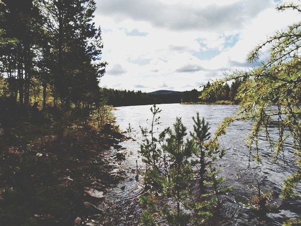 water, sky, tree, tranquil scene, tranquility, lake, cloud - sky, scenics, beauty in nature, nature, cloudy, cloud, mountain, river, idyllic, growth, non-urban scene, reflection, lakeshore, no people