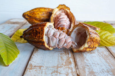 Close-up of shells on table