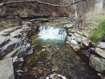 Scenic view of river amidst trees