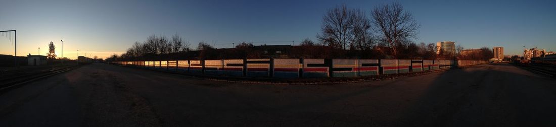 Empty road along trees