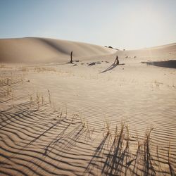 Scenic view of desert against clear sky