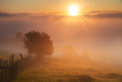 Scenic view of field against sky during sunset