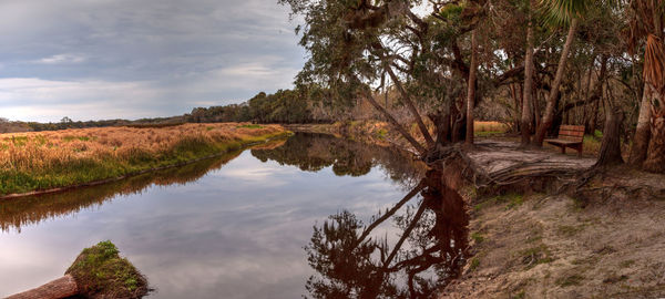 Wetland and marsh at the myakka river state park in sarasota, florida, usa