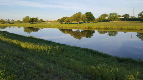 Scenic view of grassy field against sky