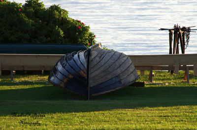 Scenic view of field