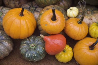 High angle view of pumpkins