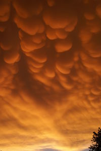 Low angle view of orange sky