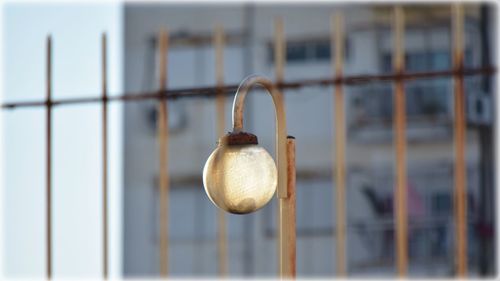 Close-up of lamp hanging on metal fence