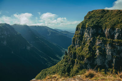 Fortaleza canyon with steep rocky cliffs covered by thick forest in cambara do sul. brazil.